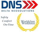 Delta NeoSolutions Inc. (DNS)